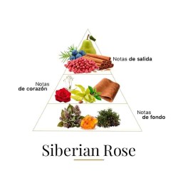 Сибирская роза 100 мл - Fragrance Du Bois Бесплатные советы и поставки!