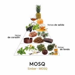 Ember - MOSQ Бесплатный совет и доставка!