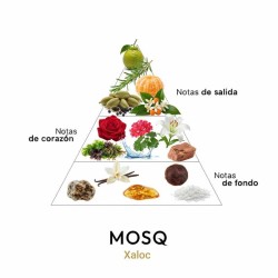 Xaloc - Mosq Consulting og gratis frakt!