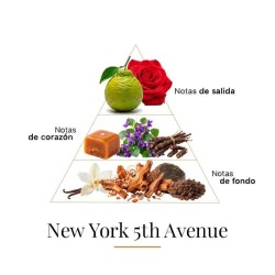 New York 5th Avenue 100 ml - Fragrance Du Bois ¡Asesoría y Envíos Gratis!