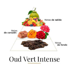 Oud Vert Intense 100 ml - Fragrance Du Bois