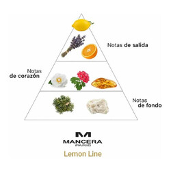 Lemon Line - Mancera Paris