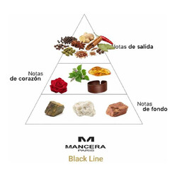 Black Line - Mancera Paris
