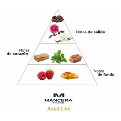 Aoud Line - Mancera Paris