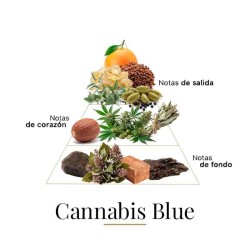 CANNABIS BLUE 100 ML - Fragrance Du Bois Darmowa porada i przesyłki!