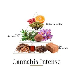 Cannabis intenso 100 ml - Fragrance Du Bois Aconselhamento gratuito e remessas!