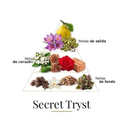 Секретный Tryst 100 мл - Fragrance Du Bois Бесплатные советы и поставки!