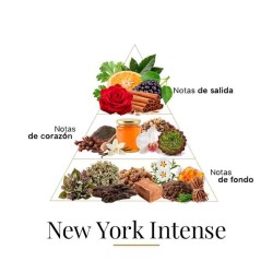 New York Intense 100 ml - Fragrance Du Bois ¡Asesoría y Envíos Gratis!