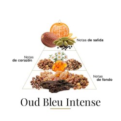 Oud Bleu Intense 100 ML - Fragrance Du Bois Darmowa porada i przesyłki!