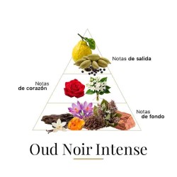 Oud noir intense 100 ml - Fragrance Du Bois Gratis råd og forsendelser!