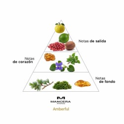 Amberful - Mancera ¡Envíos Gratis!