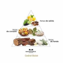 Cedrat Boise - Mancasa Gratis frakt!
