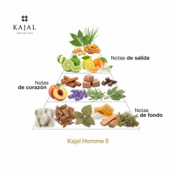 Kajal Homme LL EDP 100 ml - Kajal Gratis verzending!