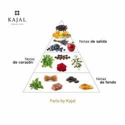 Faris por Kajal EDP 100 ml - Frete Grátis de Kajal!