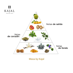 Masa by Kajal Edp 100 ml - Kajal ¡Envíos Gratis!