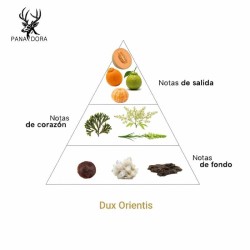 Dux Orientis - Pana Dora Sweden Gratis råd og forsendelser!