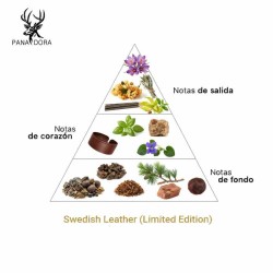 Swedish Leather (Limited Edition) - Pana Dora Sweden Free advice and shipments!