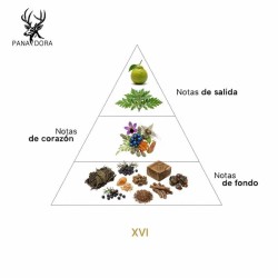 XVI - Pana Dora Advisory en gratis verzending!