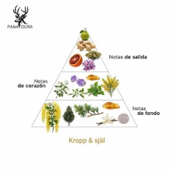 Kropp & själ - Pana Dora Sweden ¡Asesorías Y Envíos Gratis!