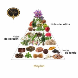 Meydan EDP 50 ml - De Geest van Dubai gratis advies en zendingen!