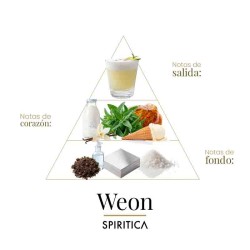 我们50毫升 -  Spiritica 免费咨询和出货量！