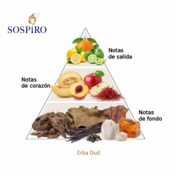 Erba Pura Oud 100 ml - Sospiro ¡Asesoría y Envíos Gratis!