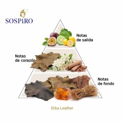 Erba leer 100 ml - Sospiro Gratis advies en zendingen!
