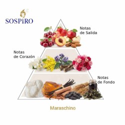 Maraschino 100 ml - Sospiro ¡Asesoría y Envíos Gratis!