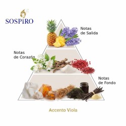Acceler viola 100 ml - Sospiro