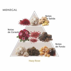 Hazy Rose EDP 100 ml - Ramon Monegal ¡Asesoría y Envíos Gratis!