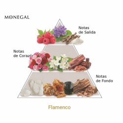 Flamenco EDP - Ramon Monegal ¡Asesoría y Envíos Gratis!