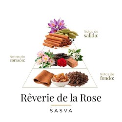 玫瑰100毫升的遐想 -  Sasva 免费咨询和出货量！
