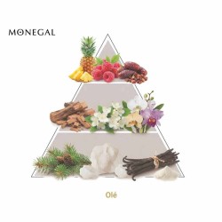 OLÉEDP  -  Ramon Monegal 免费咨询和出货量！