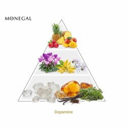 Dopamin 75 ml - Ramon Monegal Gratis råd og forsendelser!