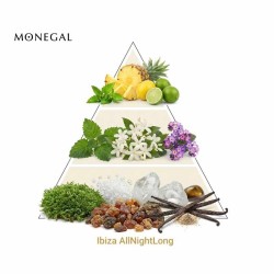 Ibiza ALLUGIGHTLONG - Ramon Monegal Darmowa porada i przesyłki!