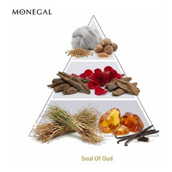 Soul Of Oud Extrait de Parfum - Ramon Monegal