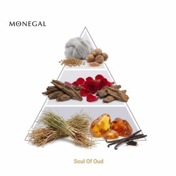 Soul Oud Extrait de Parfum - Ramon Monegal ¡Envíos Gratis!