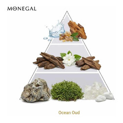 Ocean Oud Extrait de Parfum 50 ml - Ramon Monegal