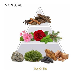 Oud On Fire Extrait de Parfum 50 ml - Ramon Monegal
