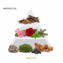 Oud On Fire Extrait de Parfum 50 ml - Ramon Monegal ¡Envíos Gratis!