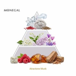 Atractone Musk EDP - Ramon Monegal ¡Envíos Gratis!