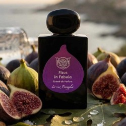 FICUS na extração de fabula de Parfum 50 ml - Lorenzo Pazzaglia
