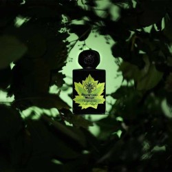 危险的maryx aftait de parfum  -  Lorenzo Pazzaglia 免费咨询和出货量！