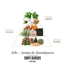 ADH - Aroma de Hormiguero 100 ml - Santi Burgas ¡Asesoría y Envíos Gratis!
