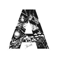 ADH - Aroma de Hormiguero 100 ml - Santi Burgas ¡Asesoría y Envíos Gratis!