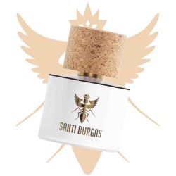 Eau Dada 100 ml - Santi Burgas ¡Asesoría y Envíos Gratis!