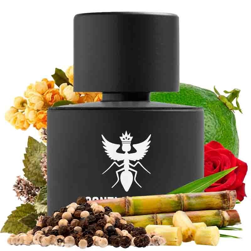 Palindrome II 100 ml - Santi Burgas