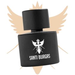 Palindrome II 100 ml - Santi Burgas