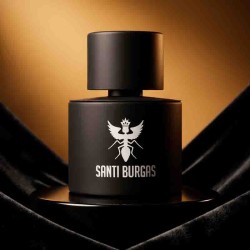 Palindrome II 100 ml - Santi Burgas
