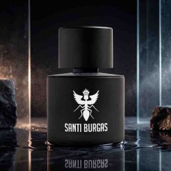 Palindrome II 100 ml - Santi Burgas